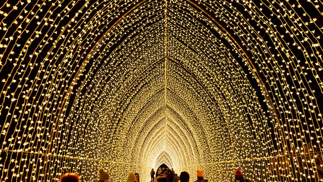 Lightscape_Sparkling-tunnel-of-light-XL.jpg 