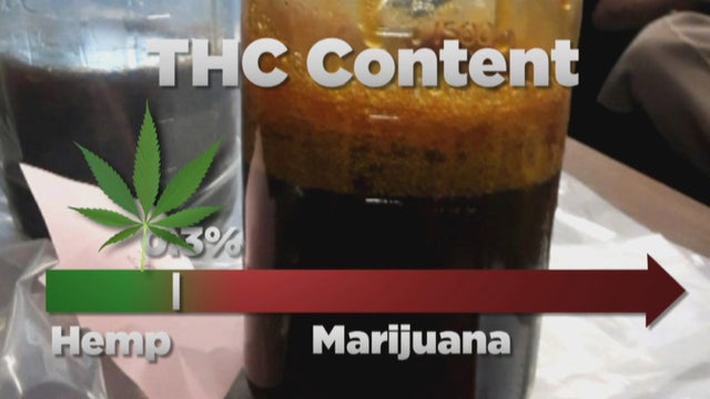 HEMP VS POT 10PKG_frame_4096 