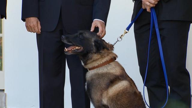 1125-cbsn-militarydogconan-1983855-640x360.jpg 