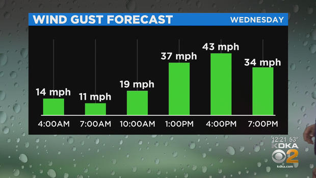 wind-gust-forecast 