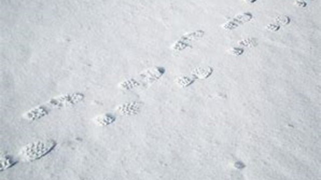 Robbinsdale-Footprints.png 