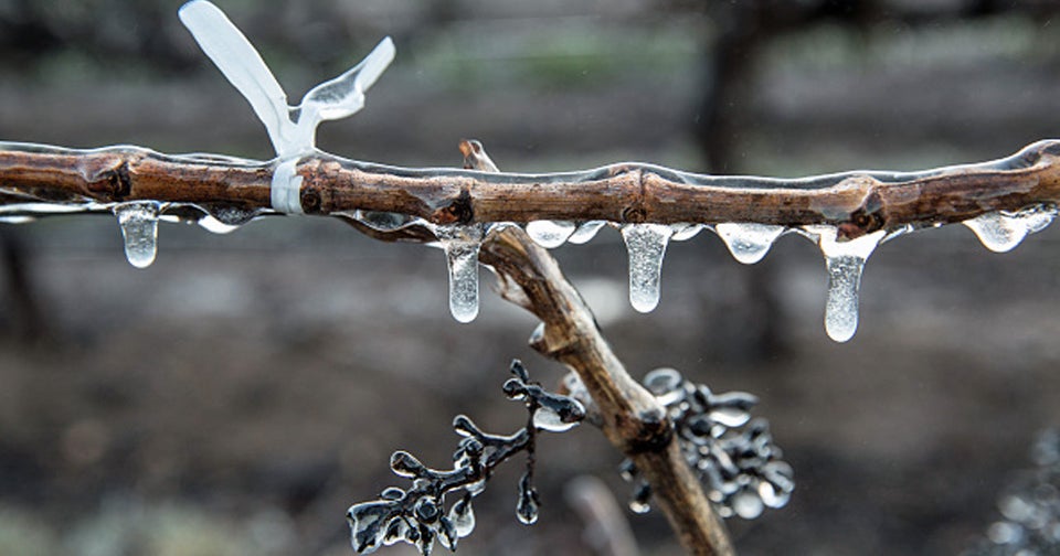 Brrr! Freeze Warning, Frost Advisories Issued for Bay Area - CBS San ...