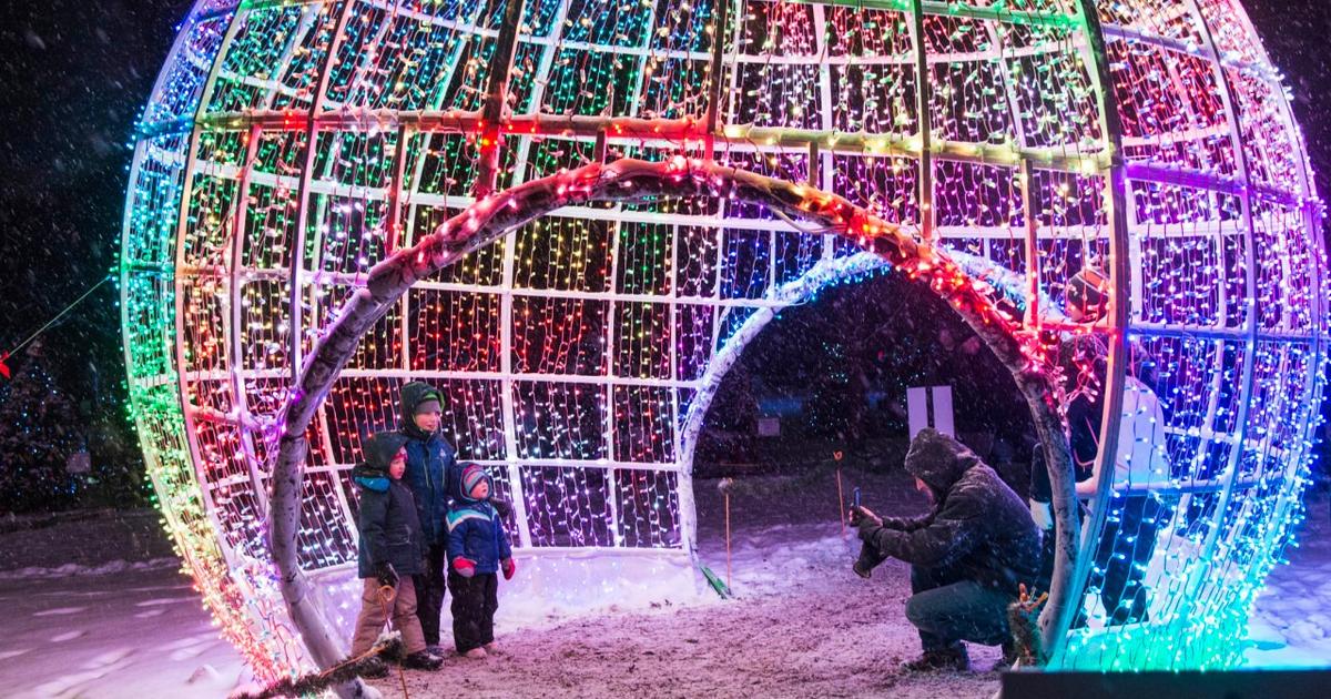 Brookfield Zoo To Light Up With Holiday Magic On Weekends In December