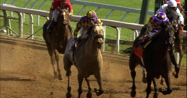 Horse racing reaches critical moment following rash of deaths