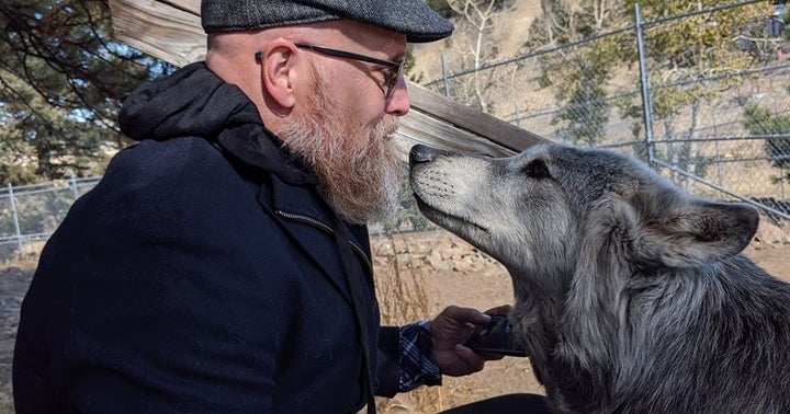Wolves From Closing Sanctuary Will Move To Rescue That Helps Veterans CBS Colorado