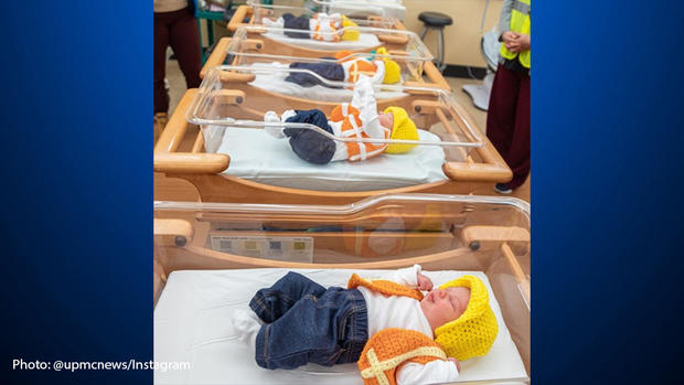 upmc hamot babies dressed up as construction workers 