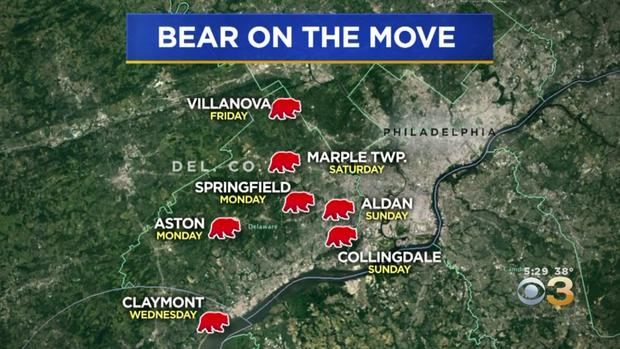 bear sightings map 