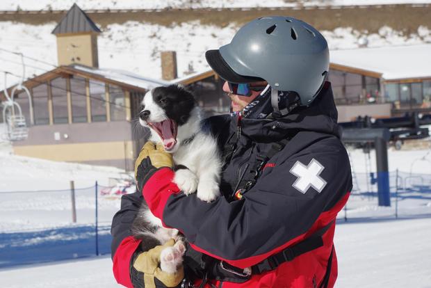Loveland Avalanche Dog 3 (Dustin Schaefer of Lvld ski area) 