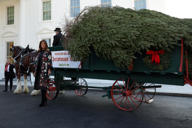 First Lady Melania Trump Receives White House Christmas Tree 