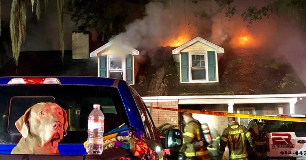 Barking Hero Dog Saves Family Of Five From Raging House Fire CBS Texas(02)