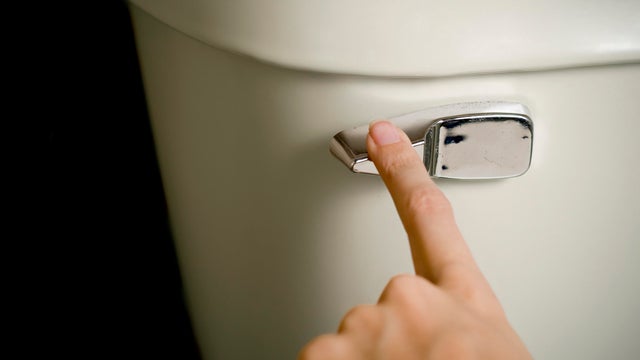 Finger on the toilet handle about to flush 