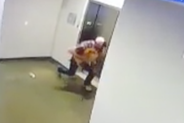 Man rescues dog with leash caught in elevator