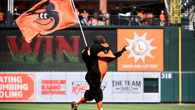 Birdland Insider: Oriole Bird Inducted to Mascot Hall of Fame