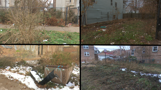 Vacant-Lots.png 
