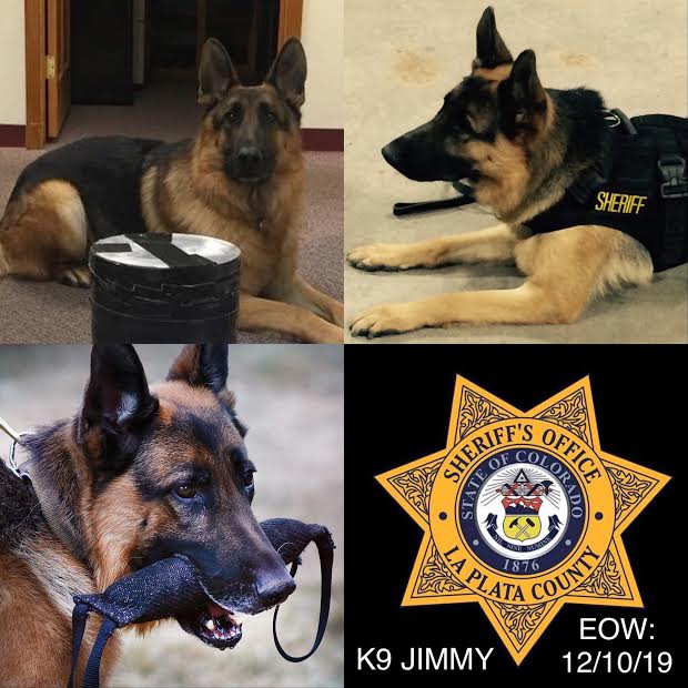 k-9 jimmy via la plata county sheriff 