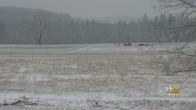 snow.jpg 