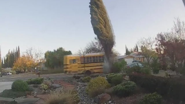 SCHOOL-BUS-CRASH.jpg 