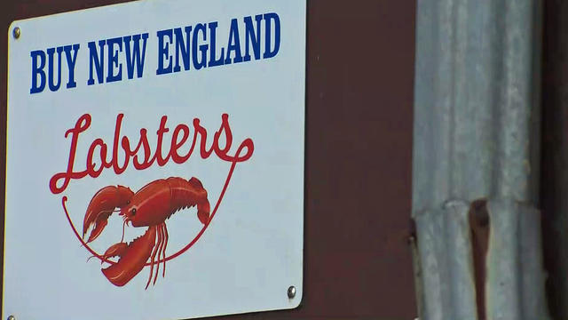 LobsterC.jpg 