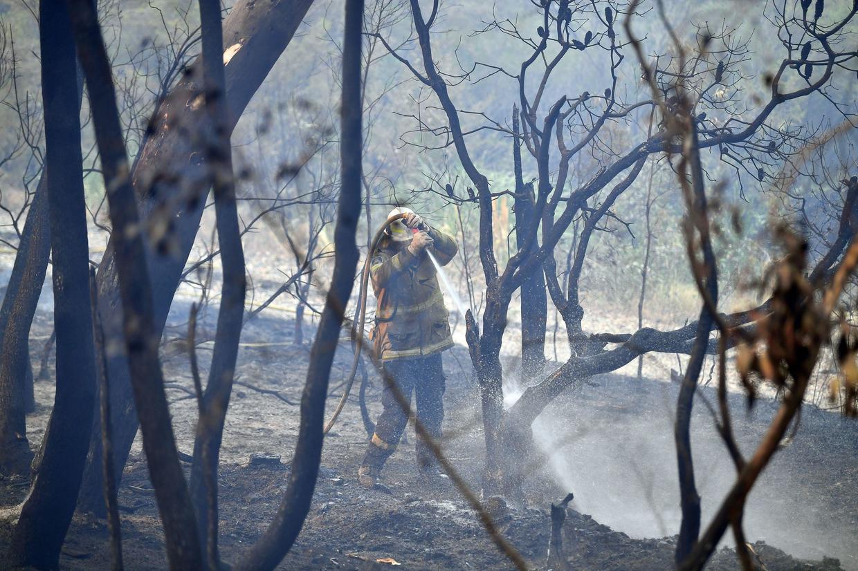 Australia Heat Wave And Bushfires Force Emergency Declaration In New ...