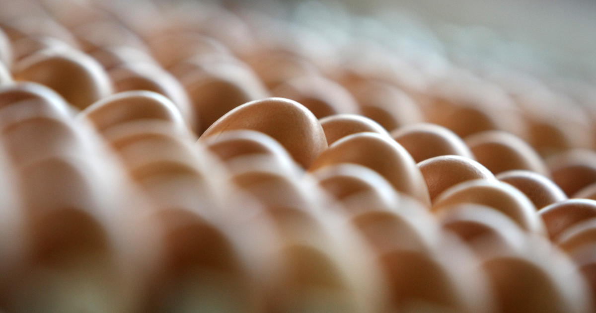 Outbreak-related hard boiled egg recall now includes consumer products