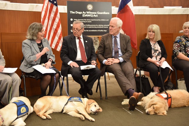 Sen. Cornyn visited the South Texas College of Law in Houston with certified facility dogs