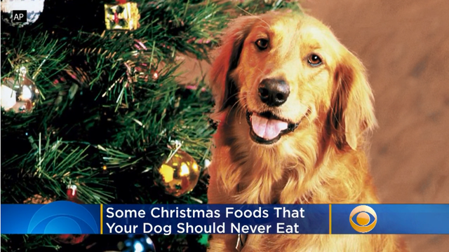 christmas-food.png 