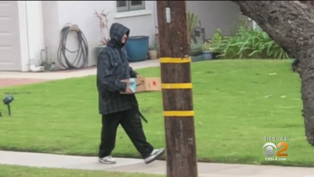 Would-Be Porch Pirate 