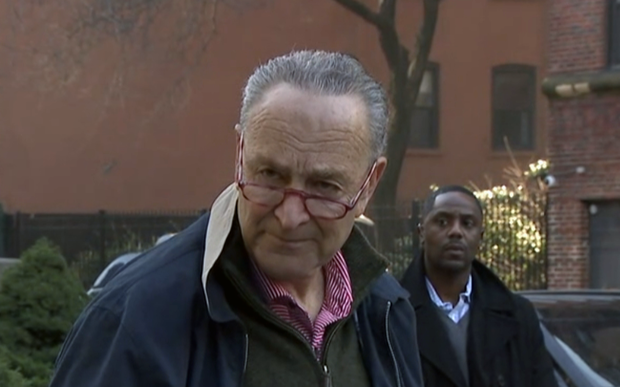 schumer.png 