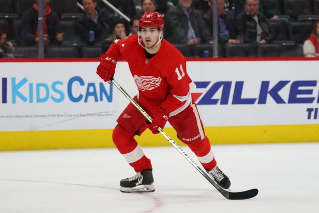 Winnipeg Jets v Detroit Red Wings 