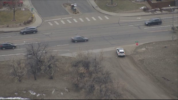 Adams County Shooting