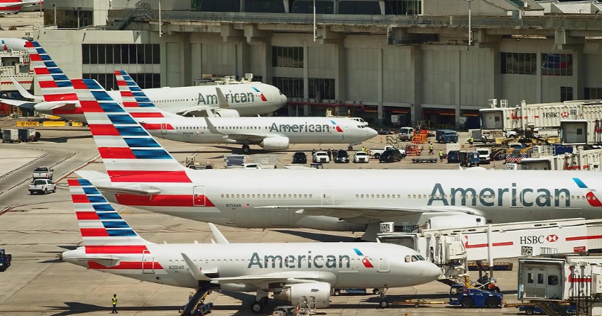 American Airlines Cracking Down On Emotional Support Animals Beginning Next  Week - CBS Philadelphia