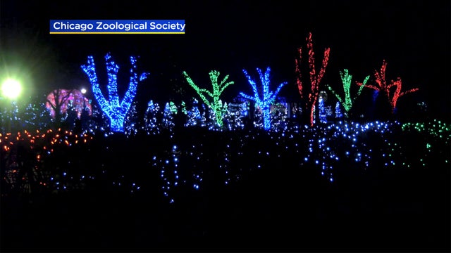Brookfield_Zoo_Holiday_Magic_1224.jpg 