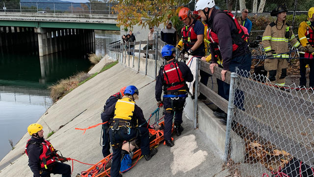 campbell_creek_rescue_122519.jpg 