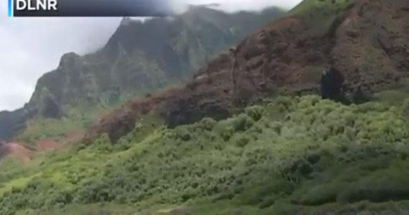 Hawaii tour helicopter crash "No indications of survivors" after