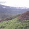 Seven dead in Hawaii helicopter tour crash