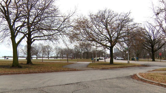 Foster_Lake_Shore_Attempted_Rape_1229.jpg 
