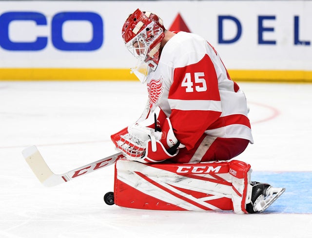 Detroit Red Wings v Los Angeles Kings 