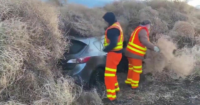 Tumbleweeds trap cars on Washington highway