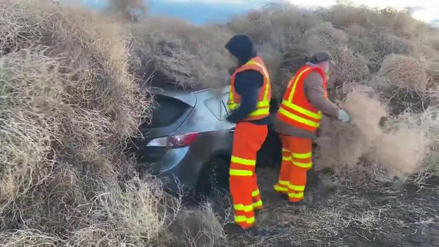 Washington state Department of Transportation workers remove tumbleweeds from a trapped car on January 1, 2020. 