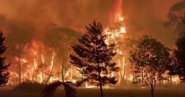 Parts of Sydney make record high temperatures as sweltering heat wave fuel massive bushfires