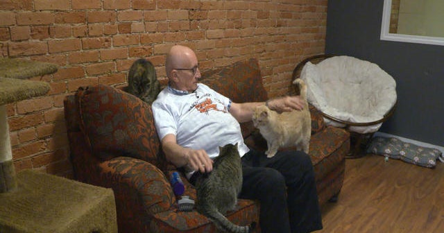 Man who naps with cats raises thousands for a pet sanctuary