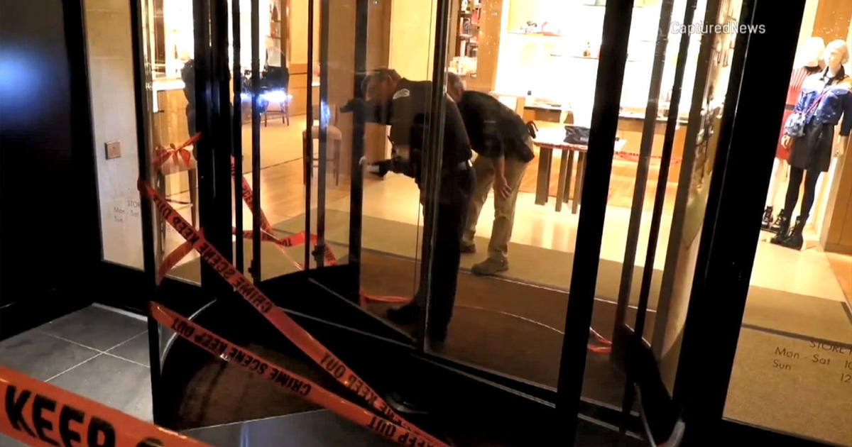 Michigan Ave. Louis Vuitton store targeted by group of masked