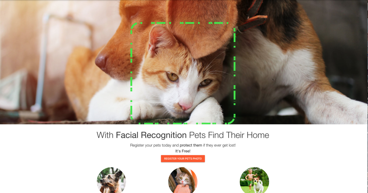 North Texas Animal Shelters Using Facial Recognition Technology To Reunite  Pets And Families - CBS Texas