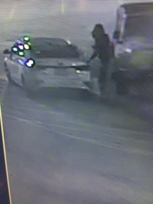 Northbrook Court Louis Vuitton Theft: Suspected Getaway Car 