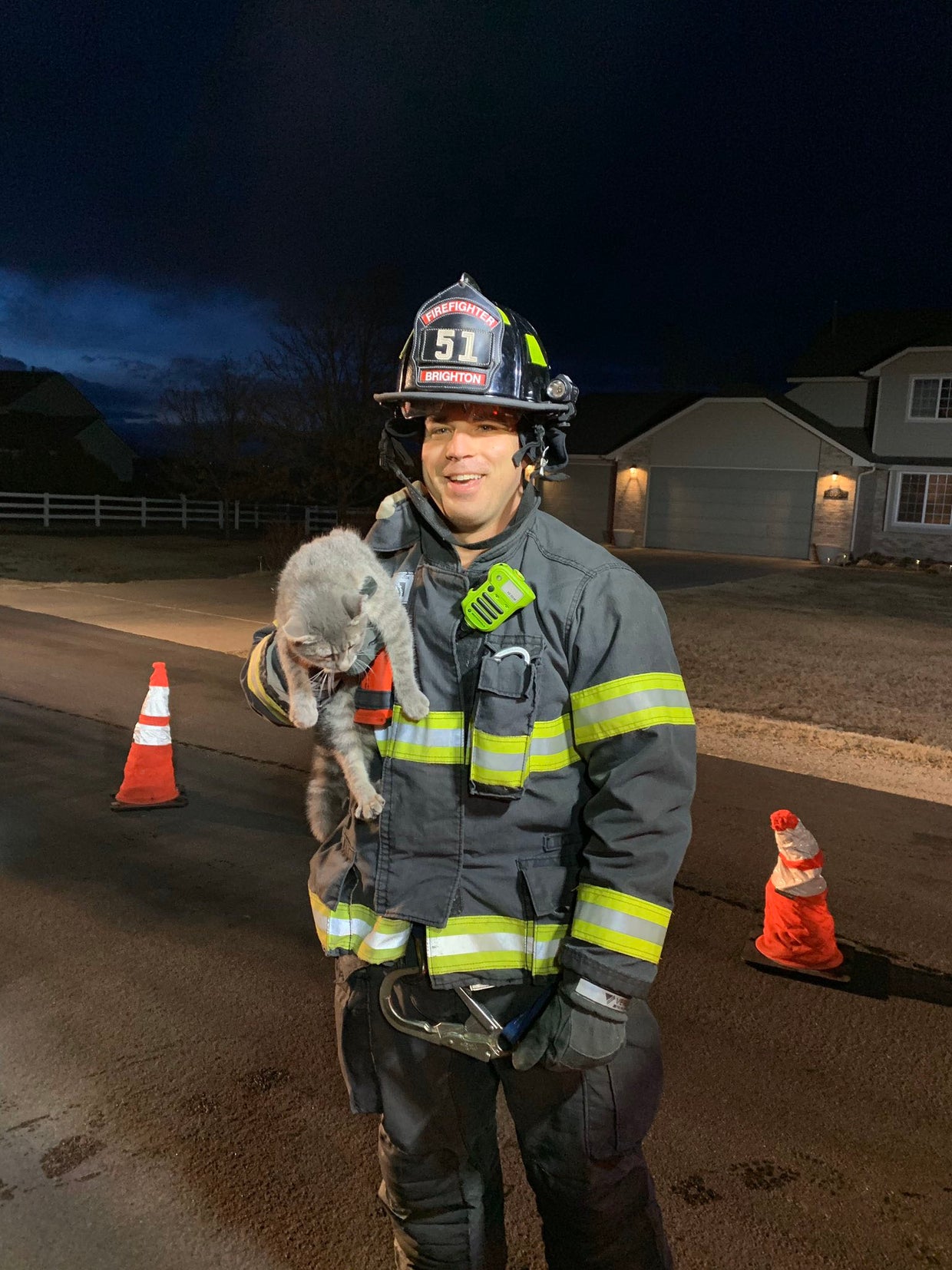 Firefighters Rescue ScaredyCat From Atop Tall Tree In Brighton CBS