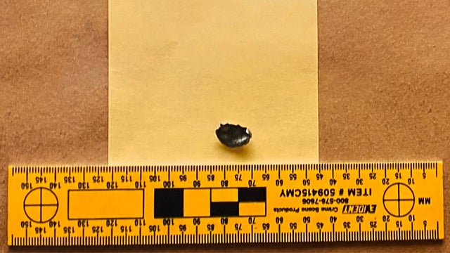 michael wilson murder trial bullet 