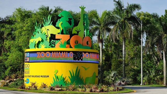 ZooMiami.jpg 