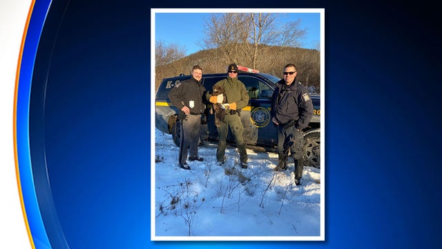 NYSP-rescue-bald-eagle.jpg 