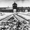 From the archives: Auschwitz’s atrocities