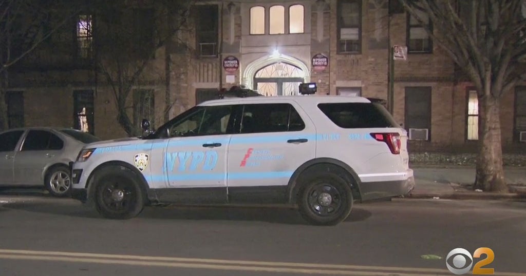 Woman In Custody After 85-Year-Old Man Stabbed To Death Inside Brooklyn ...
